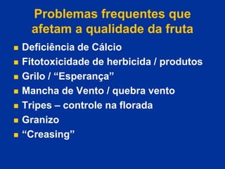 Problemas frequentes que
afetam a qualidade da fruta
 Deficiência de Cálcio
 Fitotoxicidade de herbicida / produtos
 Grilo / “Esperança”
 Mancha de Vento / quebra vento
 Tripes – controle na florada
 Granizo
 “Creasing”
 