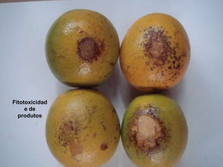 Fitotoxicidad
e de
produtos
 