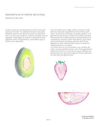 pág 3/3
Constucción de la nueva fruta
Francisca Collarte
11 de Marzo 2016
Geometría en el interior de la fruta
Geometría del color
Existen casos en que la geometría de la fruta está
dado por el color. Un ejemplo de esto es la palta,
desde el exterior al interior (cuando se interviene
con un corte a la mitad) sus colores verdosos van en
degrade, hasta llegar al cuesco. Si dibujamos este
degrade como una geometría, notariamos que su
forma va en descenso.
Con la frutilla ocurre algo similar, aunque es más
bien la mezcla de la geometría de la forma y del
color. Al cortarla a la mitad, se puede obsevar una
geometría que se da en todas las frutillas (aunque
claramente con modificaciones), donde aparece el
receptaculo carnoso (color más blanco), que tiene
esta ramificación que llega al borde de la fruta.
Además el color empieza más rojo en el exterior,
debilitandose en su centro.
Lo mismo ocurre con el tomate y sus cambios de
color, aunque también posee una misma geometría
básica en la forma, nunca se ven igual. Además de-
pende del corte que se le haga al tomate, aparecen
las dos distintas geometrías.
 