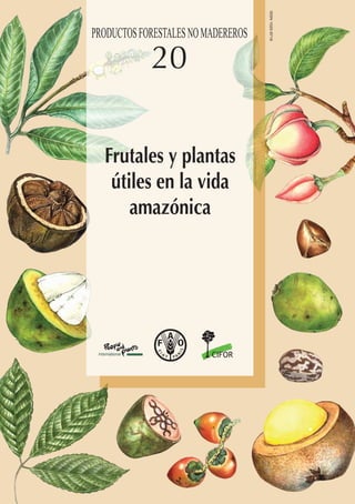 I2360S/1/05.12
ISBN 978-92-5-307007-7 ISSN 1020-9719
9 7 8 9 2 5 3 0 7 0 0 7 7
ISSN
1020-9719
20
20
FAO
PRODUCTOS
FORESTALES
NO
MADEREROS
PRODUCTOSFORESTALESNOMADEREROS
Frutales y plantas
útiles en la vida
amazónica
“En cada una de nuestras deliberaciones,
debemos considerar el impacto de nuestras
decisiones sobre las próximas siete generaciones”
Frutales y plantas útiles en la vida amazónica, es el resultado
de la colaboración entre el CIFOR, PPI y la FAO y cumple
con dos objetivos fundamentales: ofrecer amplia información
sobre los frutales y las comunidades amazónicas, explicando
cómo las poblaciones locales han adoptado y se han
adaptado al reino vegetal que las rodea, recogiendo
sustancias nutritivas, medicinas y otros productos
fundamentales para su supervivencia. Muestra también
cómo la información científica se puede presentar de una
forma innovadora y más inclusiva para que otros actores
del mundo entero puedan adaptarla en consecuencia.
Esta publicación es un testimonio del enorme potencial
que puede ofrecer la integración del saber tradicional con
el conocimiento científico a las comunidades y a los
profesionales de la investigación y del desarrollo. Sirve
también para recordar a las comunidades científicas que la
ciencia se debería compartir con las poblaciones locales y
no se debería confinar en revistas y artículos especializados.
Desde las nueces de Brasil y la uña de gato hasta la copaiba
y la titica, esta publicación comparte una riqueza de
información sobre una amplia gama de especies arbóreas
que solamente la estrecha colaboración entre las poblaciones
locales y los investigadores podría producir.
Frutales
y
plantas
útiles
en
la
vida
amazónica
 