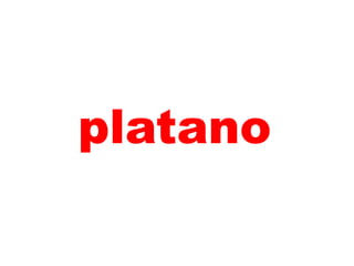 platano
 