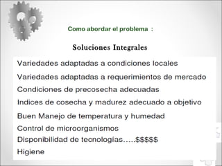 Como abordar el problema  : Soluciones Integrales 