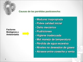 Causas de las perdidas postcosecha: Factores  Biológicos y  Ambientales 