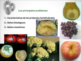 Los principales problemas: 1.- Características de los productos hortofrutícolas 2.- Daños fisiológicos   3.- Daños mecánicos 