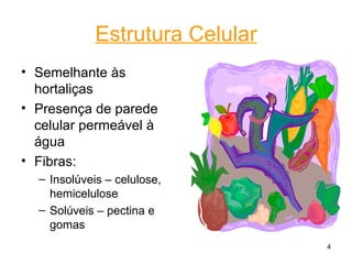Estrutura Celular
• Semelhante às
  hortaliças
• Presença de parede
  celular permeável à
  água
• Fibras:
  – Insolúveis – celulose,
    hemicelulose
  – Solúveis – pectina e
    gomas
                                 4
 