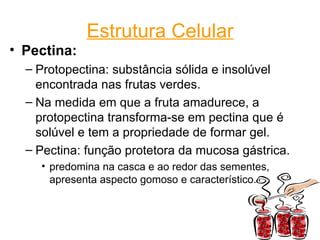 Estrutura Celular
• Pectina:
  – Protopectina: substância sólida e insolúvel
    encontrada nas frutas verdes.
  – Na medida em que a fruta amadurece, a
    protopectina transforma-se em pectina que é
    solúvel e tem a propriedade de formar gel.
  – Pectina: função protetora da mucosa gástrica.
    • predomina na casca e ao redor das sementes,
      apresenta aspecto gomoso e característico.



                                                    5
 