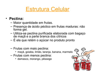 Estrutura Celular
• Pectina:
  – Maior quantidade em frutas.
  – Presença de ácido péctico em frutas maduras: não
    forma gel.
  – Utiliza-se pectina purificada elaborada com bagaço
    de maçã e a parte branca dos cítricos
  – É ela que retém o açúcar no produto pronto

  – Frutas com mais pectina:
     • maçã, goiaba, limão, laranja, banana, marmelo
  – Frutas com menos pectina:
     • damasco, morango, pêssego

                                                         6
 
