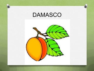 DAMASCO
 