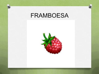 FRAMBOESA
 