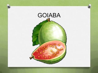 GOIABA
 