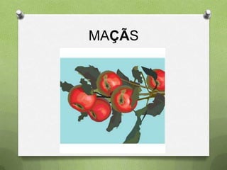 MAÇÃS
 