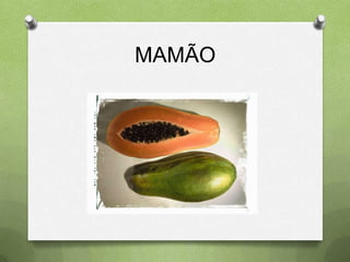 MAMÃO
 