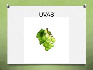 UVAS
 