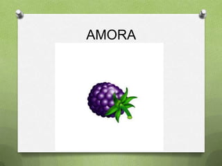 AMORA
 