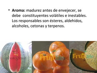 • Aroma: madurez antes de envejecer, se
debe constituyentes volátiles e inestables.
Los responsables son ésteres, aldehídos,
alcoholes, cetonas y terpenos.
12
 
