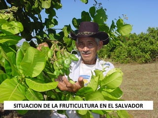 SITUACION DE LA FRUTICULTURA EN EL SALVADOR
 