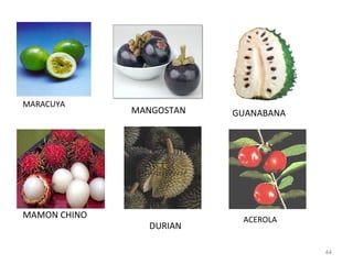 44
ACEROLA
MARACUYA
GUANABANAMANGOSTAN
MAMON CHINO
DURIAN
 