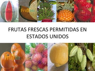 FRUTAS FRESCAS PERMITIDAS EN
ESTADOS UNIDOS
45
 