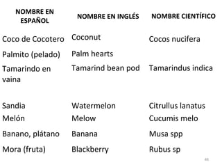46
NOMBRE EN
ESPAÑOL
NOMBRE EN INGLÉS NOMBRE CIENTÍFICO
Coco de Cocotero Coconut Cocos nucifera
Palmito (pelado) Palm hearts
Tamarindo en
vaina
Tamarind bean pod Tamarindus indica
Sandia Watermelon Citrullus lanatus
Melón Melow Cucumis melo
Banano, plátano Banana Musa spp
Mora (fruta) Blackberry Rubus sp
 
