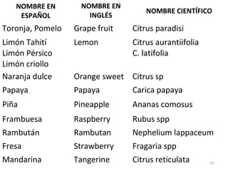47
NOMBRE EN
ESPAÑOL
NOMBRE EN
INGLÉS
NOMBRE CIENTÍFICO
Toronja, Pomelo Grape fruit Citrus paradisi
Limón Tahití
Limón Pérsico
Limón criollo
Lemon Citrus aurantiifolia
C. latifolia
Naranja dulce Orange sweet Citrus sp
Papaya Papaya Carica papaya
Piña Pineapple Ananas comosus
Frambuesa Raspberry Rubus spp
Rambután Rambutan Nephelium lappaceum
Fresa Strawberry Fragaria spp
Mandarina Tangerine Citrus reticulata
 
