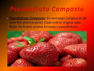  Pseudofruto Composto: Ex morango (origina-se de
uma flor pluricarpela). Cada ovário origina uma
fruto. Os frutos unidos formam o pseudofruto.
 