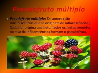  Pseudofruto múltiplo: Ex: amora (são
infrutescências que se originam de inflorescências).
Cada flor origina um fruto. Todos os frutos reunidos
no eixo da inflorescências formam o pseudofruto.
 