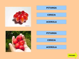 PRÓXIMO
CEREJA
ACEROLA
PITANGA
ACEROLA
CEREJA
PITANGA
 