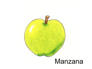 Manzana
 