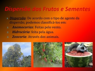  Dispersão: De acordo com o tipo de agente da
dispersão, podemos classificá-los em:
1. Anemocorias: Feitas pelo vento.
2. Hidrocória: feita pela água.
3. Zoocoria: Através dos animais.
 