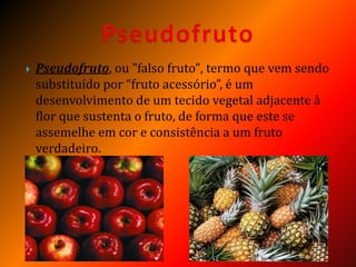  Pseudofruto, ou "falso fruto", termo que vem sendo
substituído por “fruto acessório”, é um
desenvolvimento de um tecido vegetal adjacente à
flor que sustenta o fruto, de forma que este se
assemelhe em cor e consistência a um fruto
verdadeiro.
 