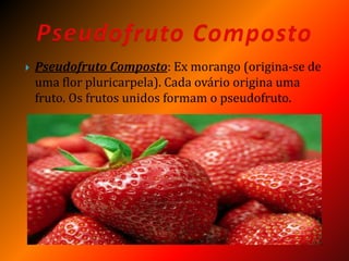  Pseudofruto Composto: Ex morango (origina-se de
uma flor pluricarpela). Cada ovário origina uma
fruto. Os frutos unidos formam o pseudofruto.
 