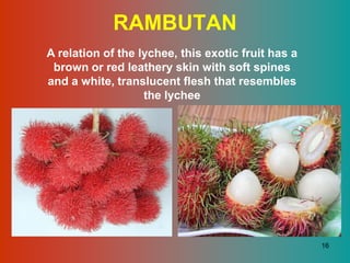 RAMBUTAN
A relation of the lychee, this exotic fruit has a
 brown or red leathery skin with soft spines
and a white, translucent flesh that resembles
                   the lychee




                                                    16
 