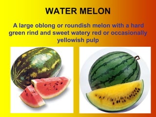 WATER MELON
 A large oblong or roundish melon with a hard
green rind and sweet watery red or occasionally
                yellowish pulp




                                             19
 