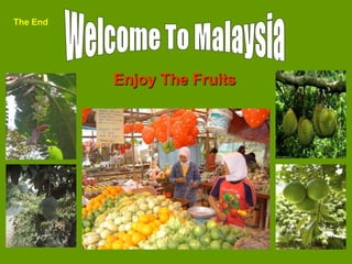 The End




          Enjoy The Fruits




                             20
 