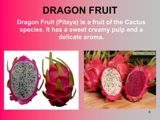 DRAGON FRUIT
Dragon Fruit (Pitaya) is a fruit of the Cactus
 species. It has a sweet creamy pulp and a
               delicate aroma.




                                                 6
 
