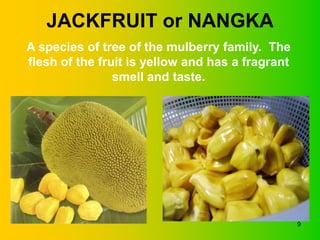 JACKFRUIT or NANGKA
A species of tree of the mulberry family. The
flesh of the fruit is yellow and has a fragrant
                smell and taste.




                                                  9
 