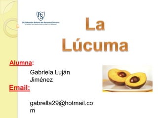 Alumna:
     Gabriela Luján
     Jiménez
Email:

     gabrella29@hotmail.co
     m
 