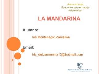 Área curricular
                      Educación para el trabajo
                           (Informática)


         LA MANDARINA
Alumno:
    Iris Montenegro Zamalloa


Email:
    iris_delcarmenmz13@hotmail.com
 