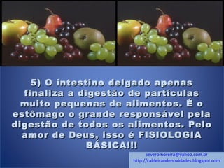 5) O intestino delgado apenas5) O intestino delgado apenas
finaliza a digestão de partículasfinaliza a digestão de partículas
muito pequenas de alimentos. É omuito pequenas de alimentos. É o
estômago o grande responsável pelaestômago o grande responsável pela
digestão de todos os alimentos. Pelodigestão de todos os alimentos. Pelo
amor de Deus, isso é FISIOLOGIAamor de Deus, isso é FISIOLOGIA
BÁSICA!!!BÁSICA!!!
   severomoreira@yahoo.com.br
http://caldeiraodenovidades.blogspot.com
 