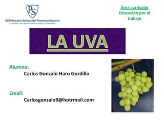 Área curricular
                                       Educación por el
                                           trabajo




Alumno:
     Carlos Gonzalo Haro Gordillo


Email:
         Carlosgonzalo9@hotrmail.com
 