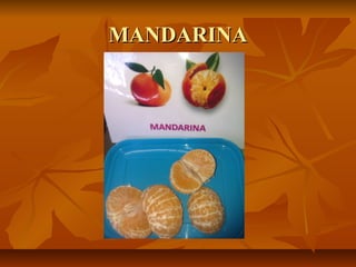 MANDARINA
 
