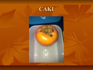 CAKI
 