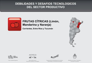 DEBILIDADES Y DESAFIOS TECNOLOGICOS
DEL SECTOR PRODUCTIVO

FRUTAS CÍTRICAS (Limón,
Mandarina y Naranja)
Corrientes, Entre Ríos y Tucumán

 