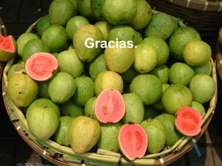 Gracias. 