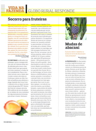 Frutas e limão - Revista Globo Rural