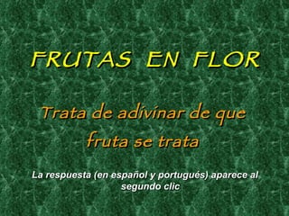 FRUTAS  EN  FLOR ,[object Object],[object Object],La respuesta (en español y portugués) aparece al segundo clic 