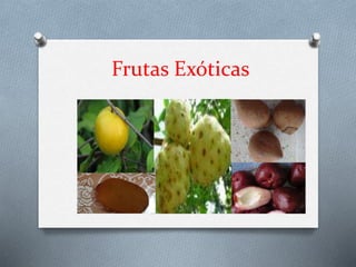 Frutas Exóticas
 