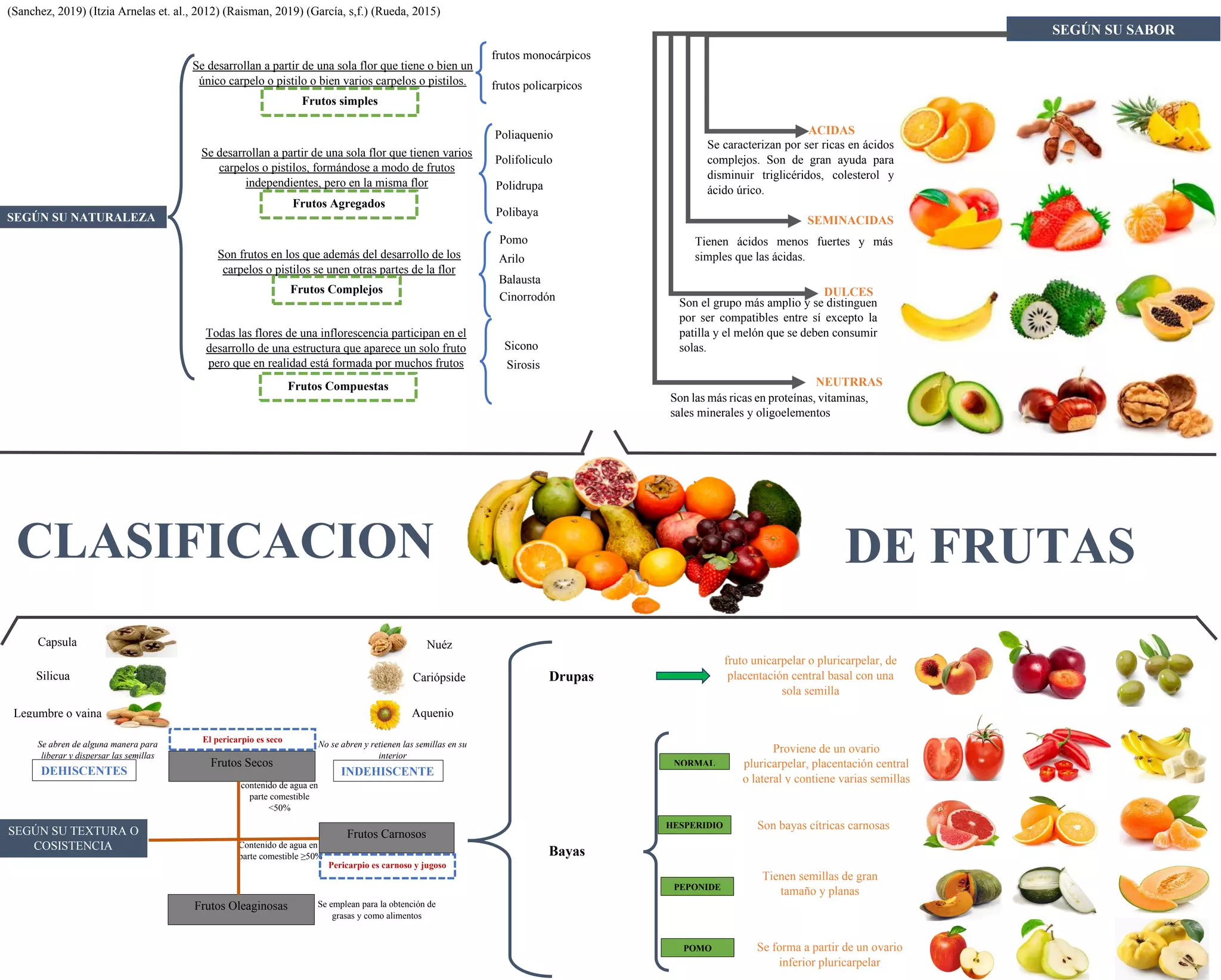 Clasificación de Frutas y Hortalizas, Productos Frescos y procesados | PDF