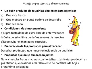 Manejo de pos cosecha y almacenamiento
• Un buen producto de reunir las siguientes características
a) Que este fresco
b) Que muestre un punto optimo de desarrollo
c) Que sea sano
• Condiciones de almacenamiento
a)El producto debe de estar libre de enfermedades
b)Debe de estar libre de daños severos de insectos
c)Debe evitar el manipuleo excesivo .
• Preparación de los productos para almacenar
Desechar productos que muestren evidencia de pudrición
• Productos que no se almacenan juntos
Nunca mesclar frutas maduras con hortalizas . Las frutas producen un
gas etileno que ocasiona amarillamiento de hortalizas de hojas
brotaminto de la papa
 