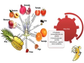 FRUTAS
•Producto
comestible de una
planta
•Constituida por
semilla
•Envoltura: jugosa,
seca o pulposa.
 